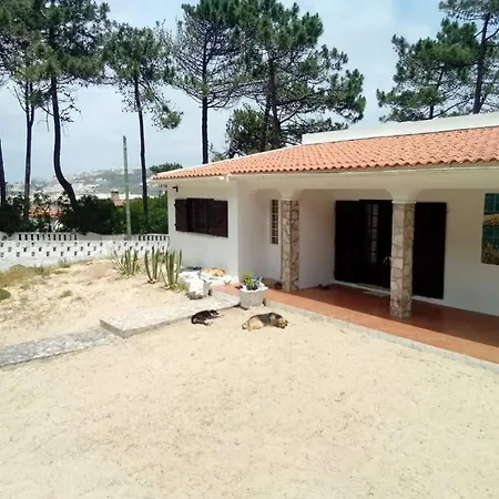 Casa Do Bosque Dom wakacyjny Nadadouro